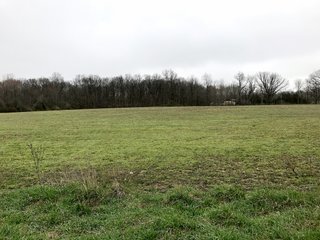 Property photo 13 - LAND AUCTION - 156.63+/- ACRES OFFERED IN 7 TRACTS IN ALLEN COUNTY, INDIANA